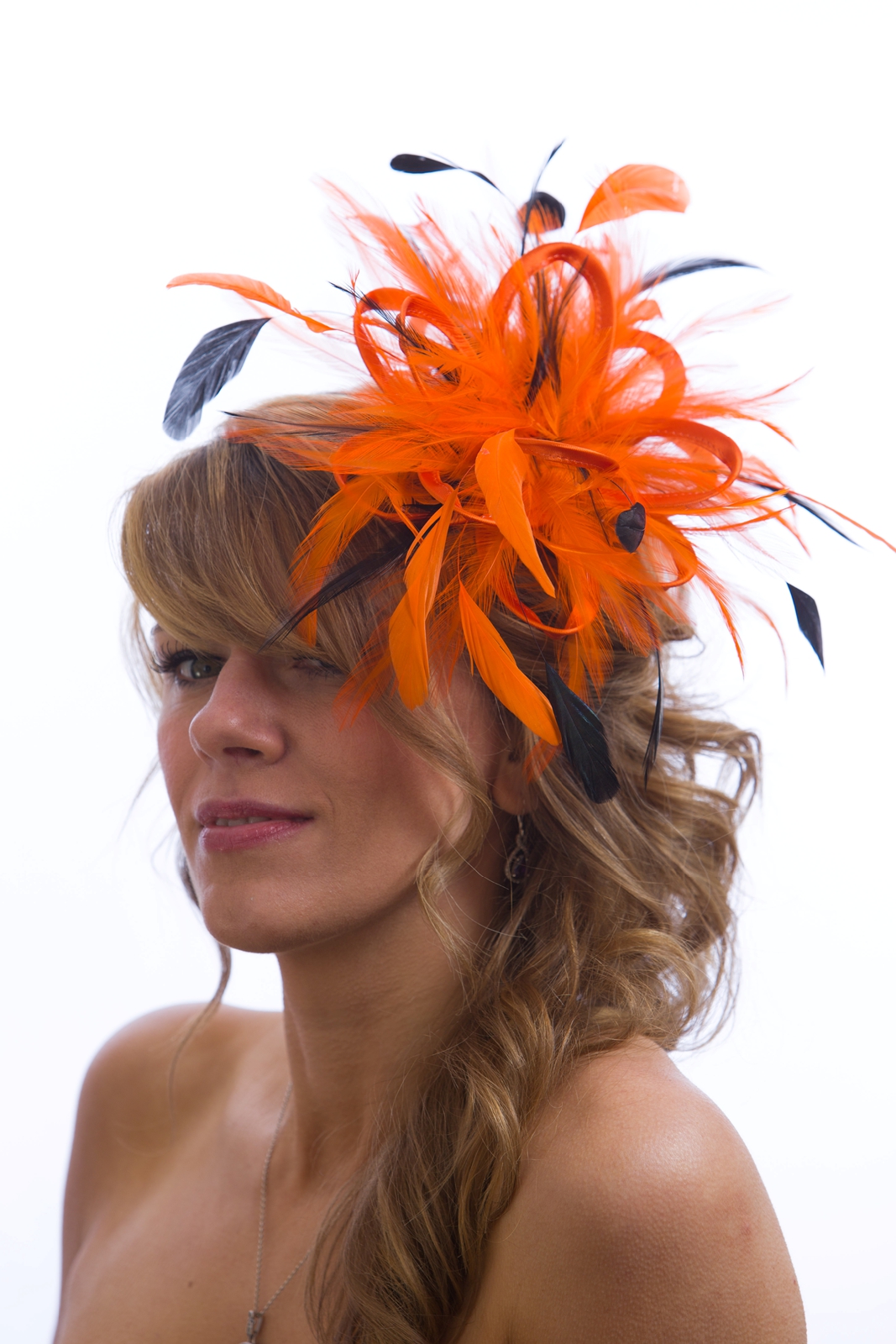 orange black small hackle (5)orange black small hackle (5)orange black small hackle (5)